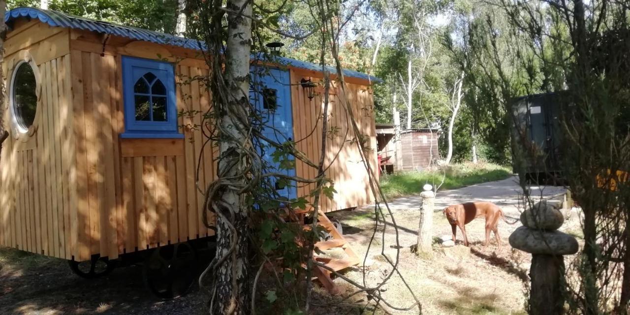 Sapphire Forest Garden Shepherd'S Hut เชิร์ชสเตรตตัน ภายนอก รูปภาพ