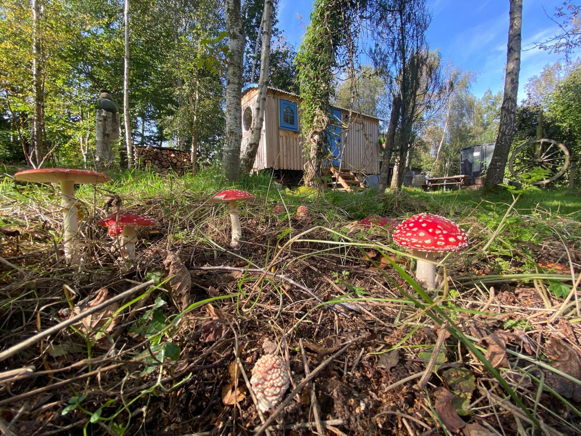 Sapphire Forest Garden Shepherd'S Hut เชิร์ชสเตรตตัน ภายนอก รูปภาพ